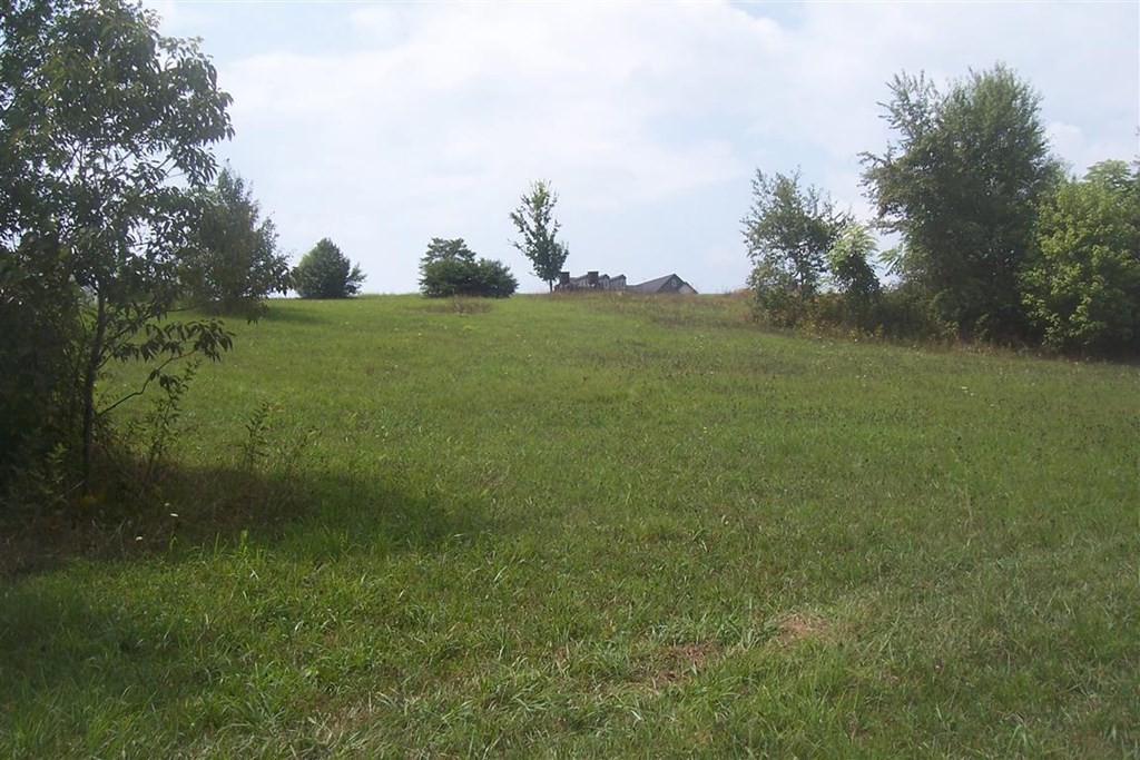 17 Ailey Road Dandridge, TN 37725 - Photo 2 of 6 Gallery Image 2