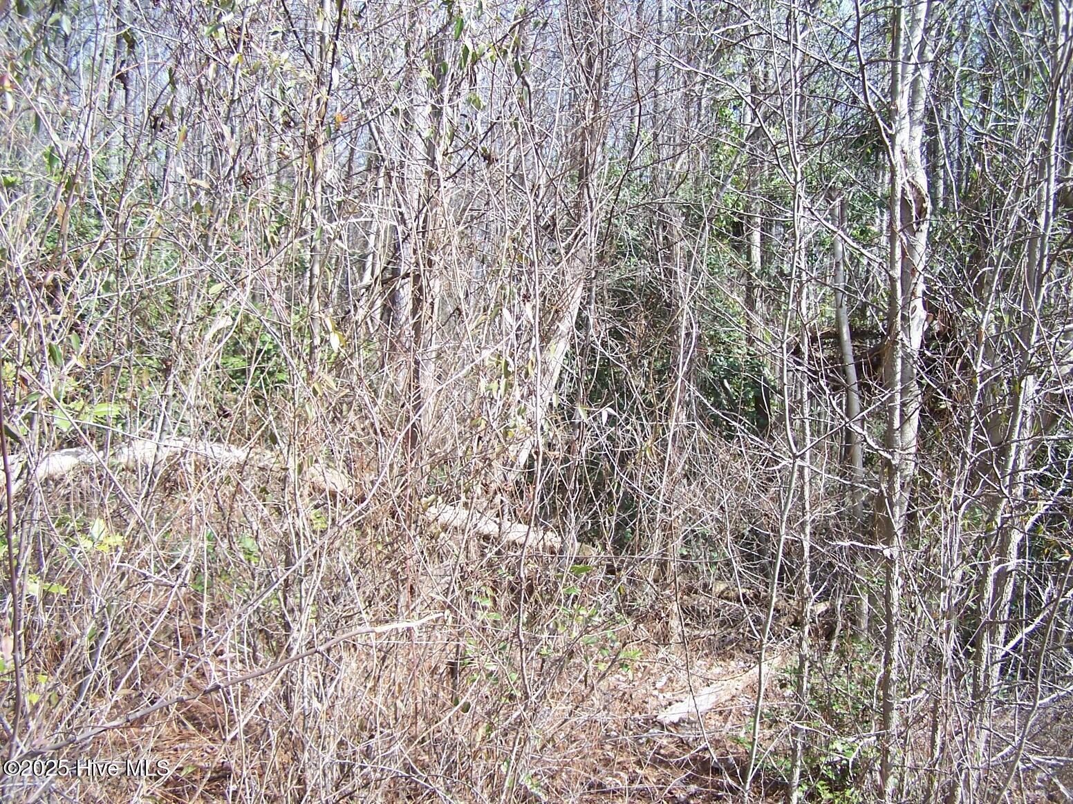 Tbd Bennett Road Ellerbe, NC 28338 - Photo 5 of 12 lot