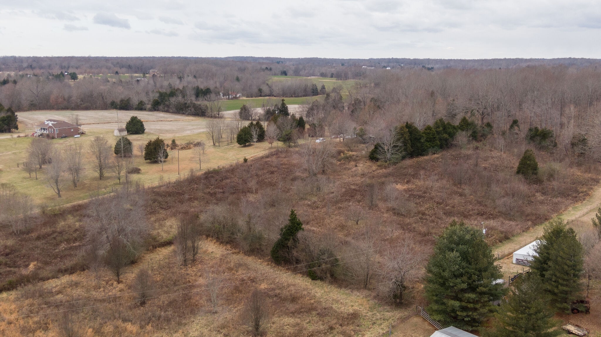 2848 Jack Teasley Road Pleasant View, TN 37146 - Photo 7 of 45 a view of a yard