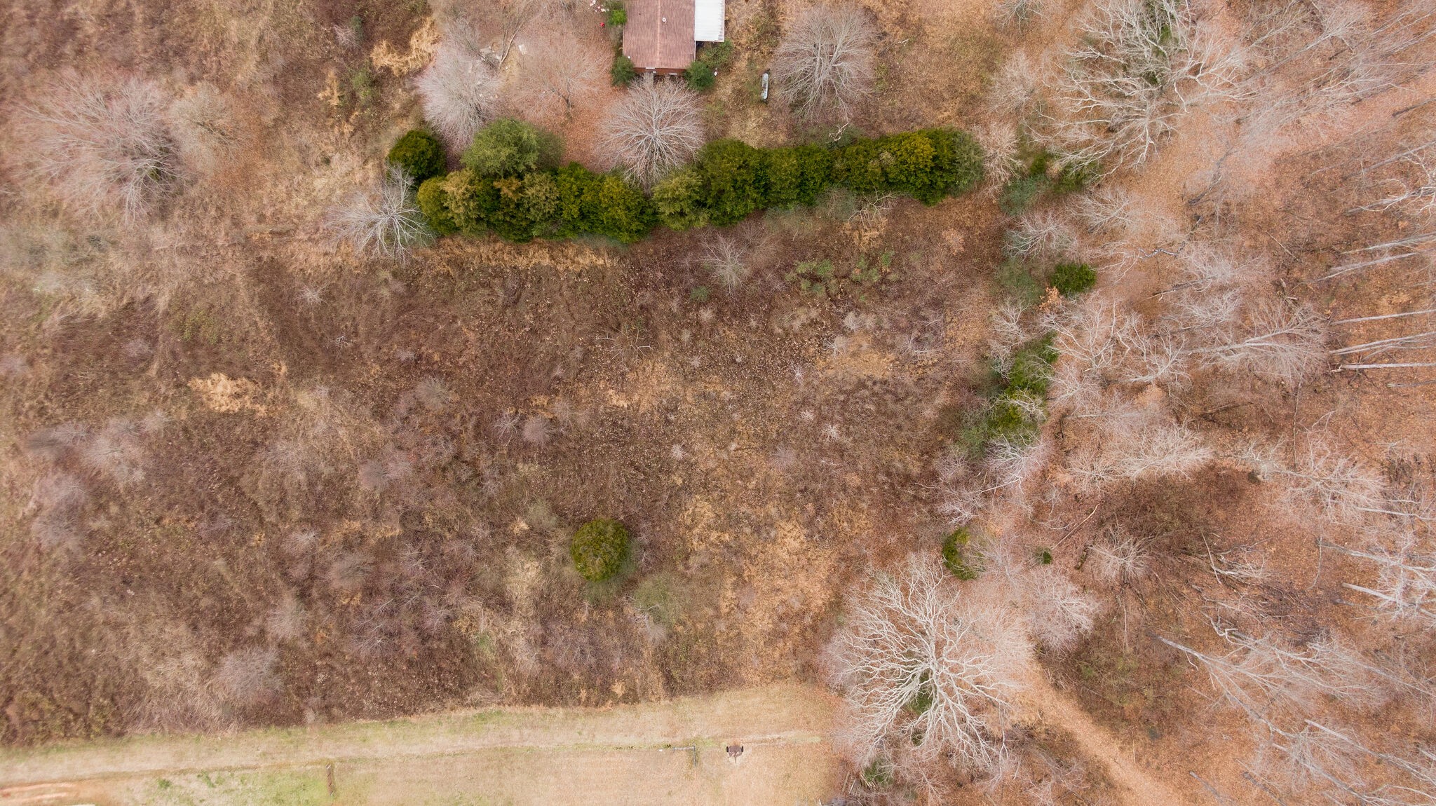 2848 Jack Teasley Road Pleasant View, TN 37146 - Photo 8 of 45 a backyard of a house