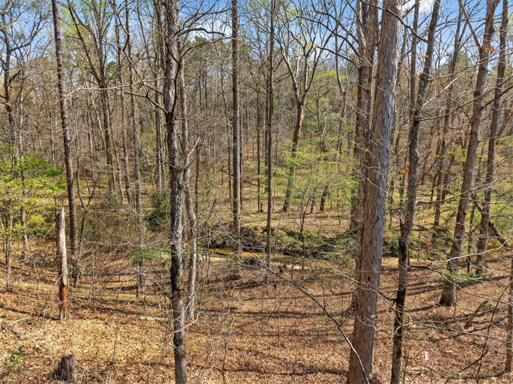 1996 Ewing Chapel Road Dacula, GA 30019 - Photo 53 of 53