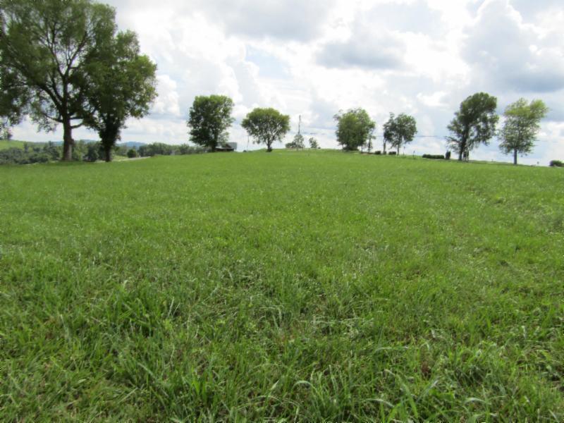 Lot 21 East Swan Ridge Road Celina, TN 38551 - Photo 3 of 28 08142020 037 - Copy