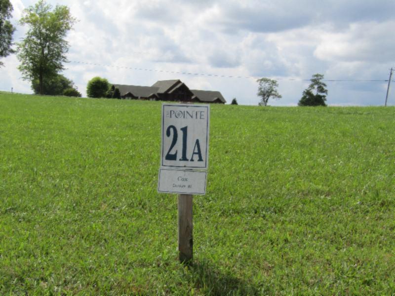 Lot 21 East Swan Ridge Road Celina, TN 38551 - Photo 7 of 28 08142020 042 - Copy