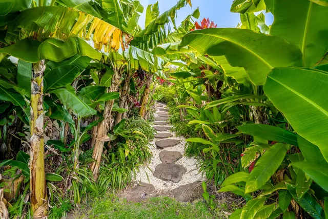 a view of a front of house with a yard