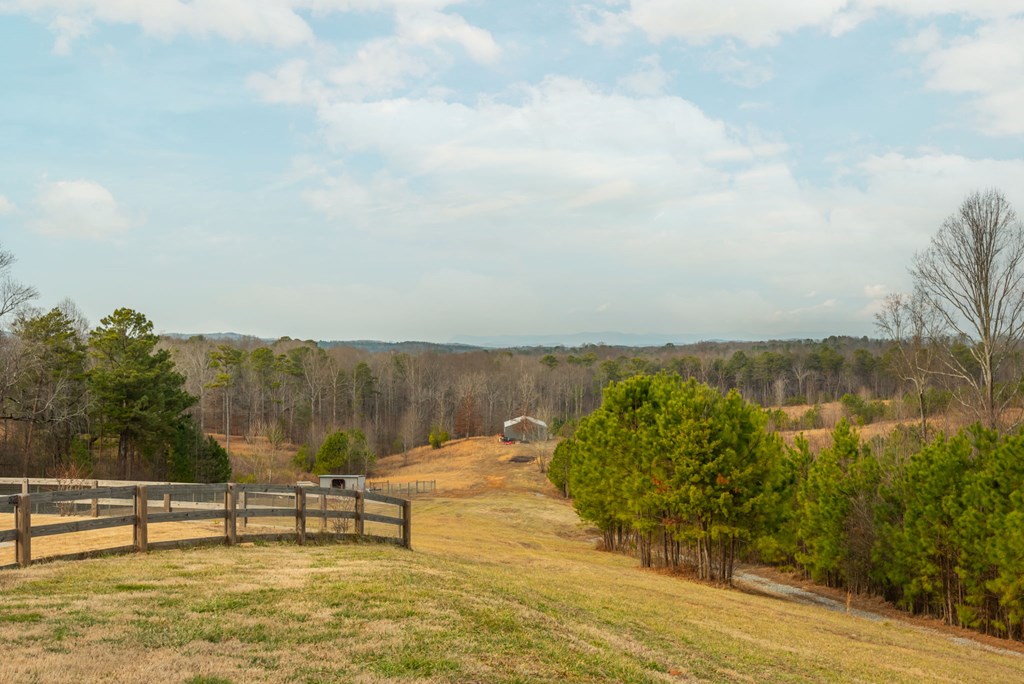 2155 Bryant Road Fairmount, GA 30139 - Photo 35 of 42