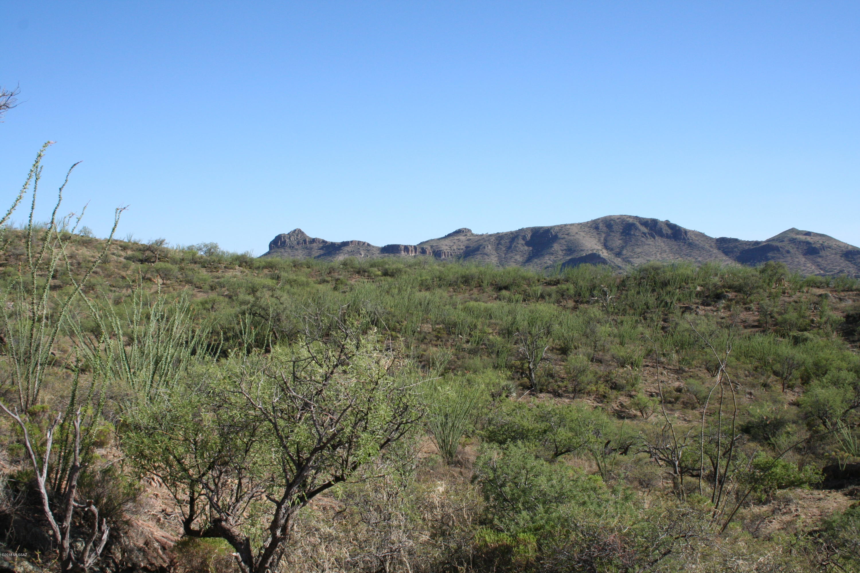37 Copper Canyon Road, Unit 140 Rio Rico, AZ 85648 - Photo 16 of 17 IMG_9488