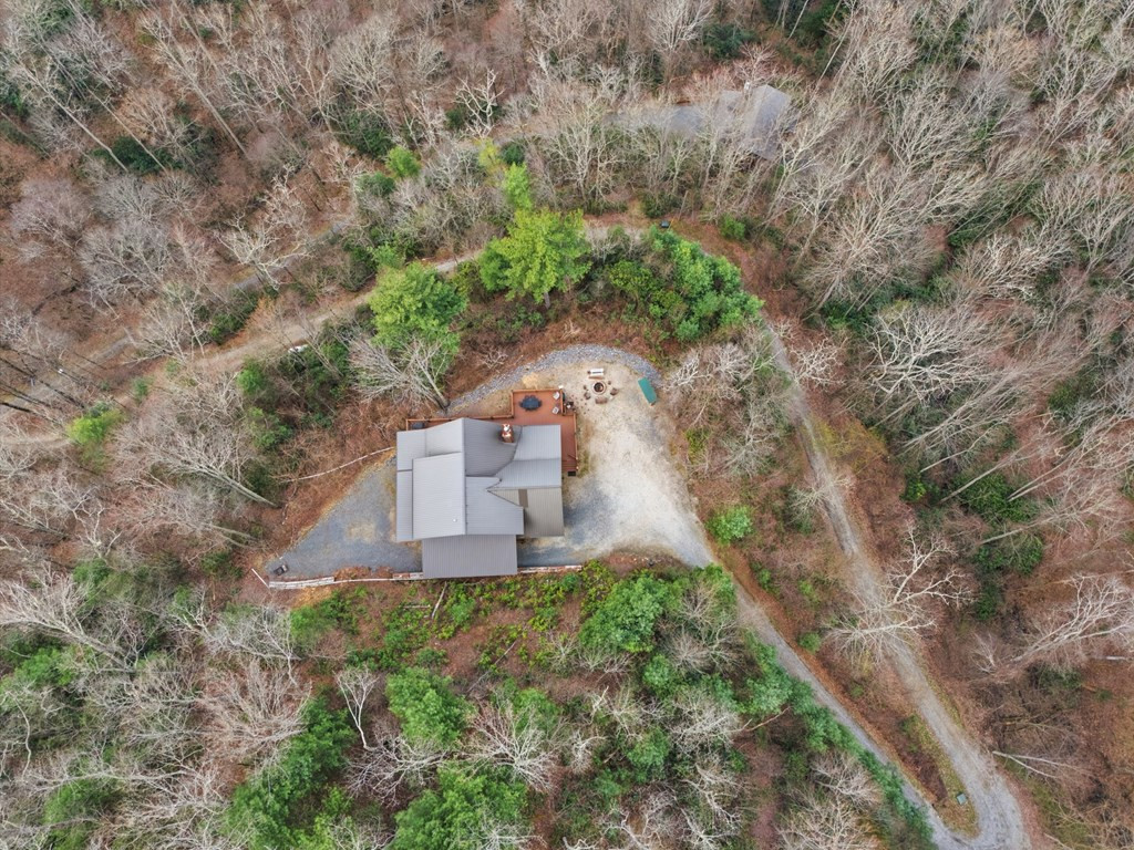 830 Noon Day Sun Ridge Topton, NC 28781 - Photo 7 of 59
