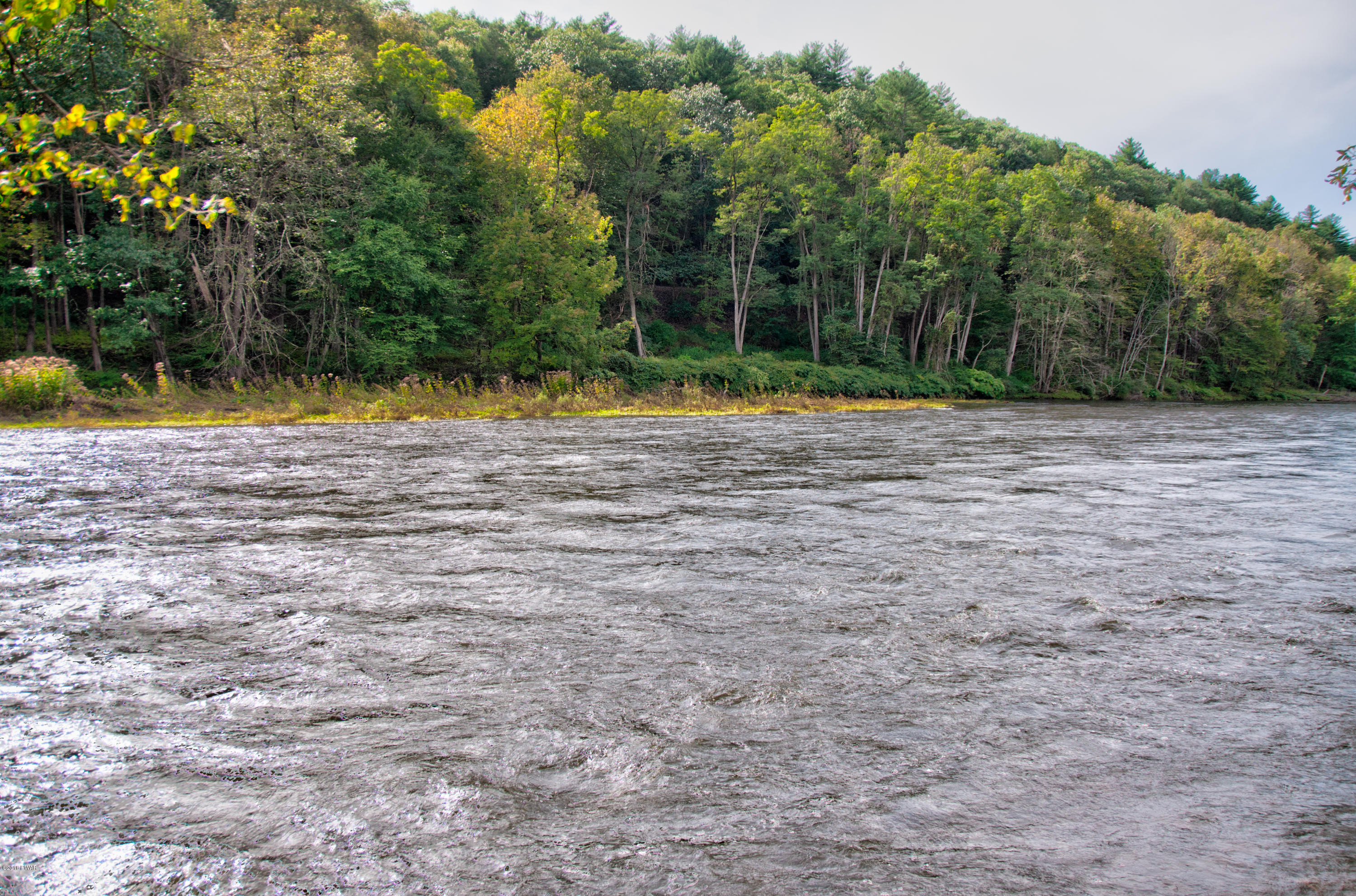 126 Field Bend Road Hawley, PA 18428 - Photo 4 of 53 5-River3