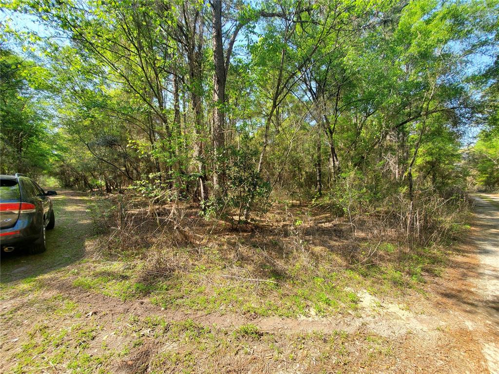13 Southwest 22nd Street Ocala, FL 34481 - Photo 1 of 1