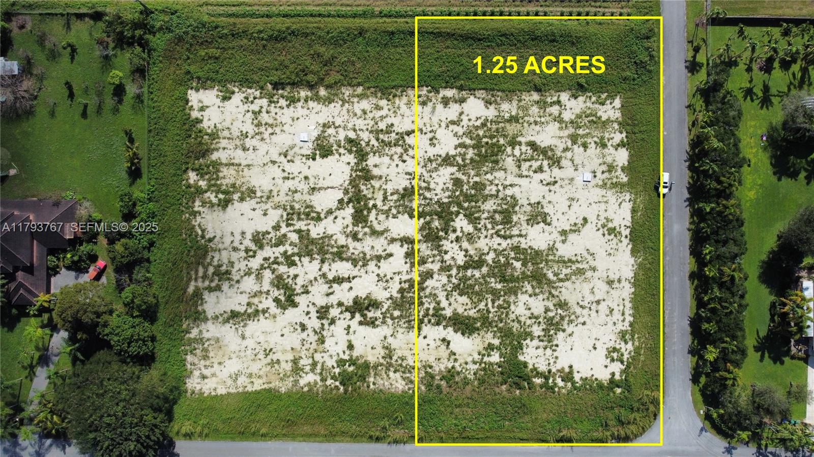 21298 Southwest 238th Street Homestead, FL 33031 - Photo 4 of 7 a picture of a tree