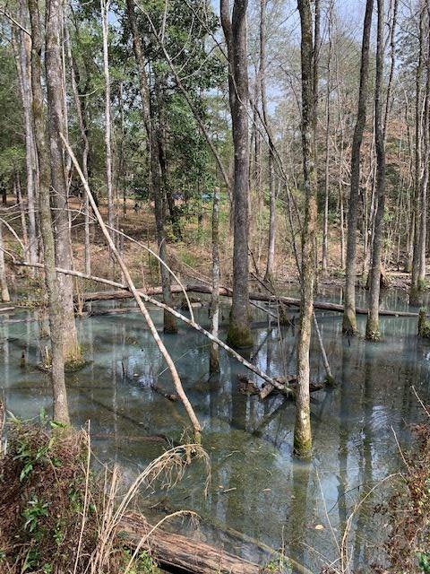 8100 Pine Forest Road Walnut Hill, FL 32568 - Photo 14 of 42 Gallery Image 14