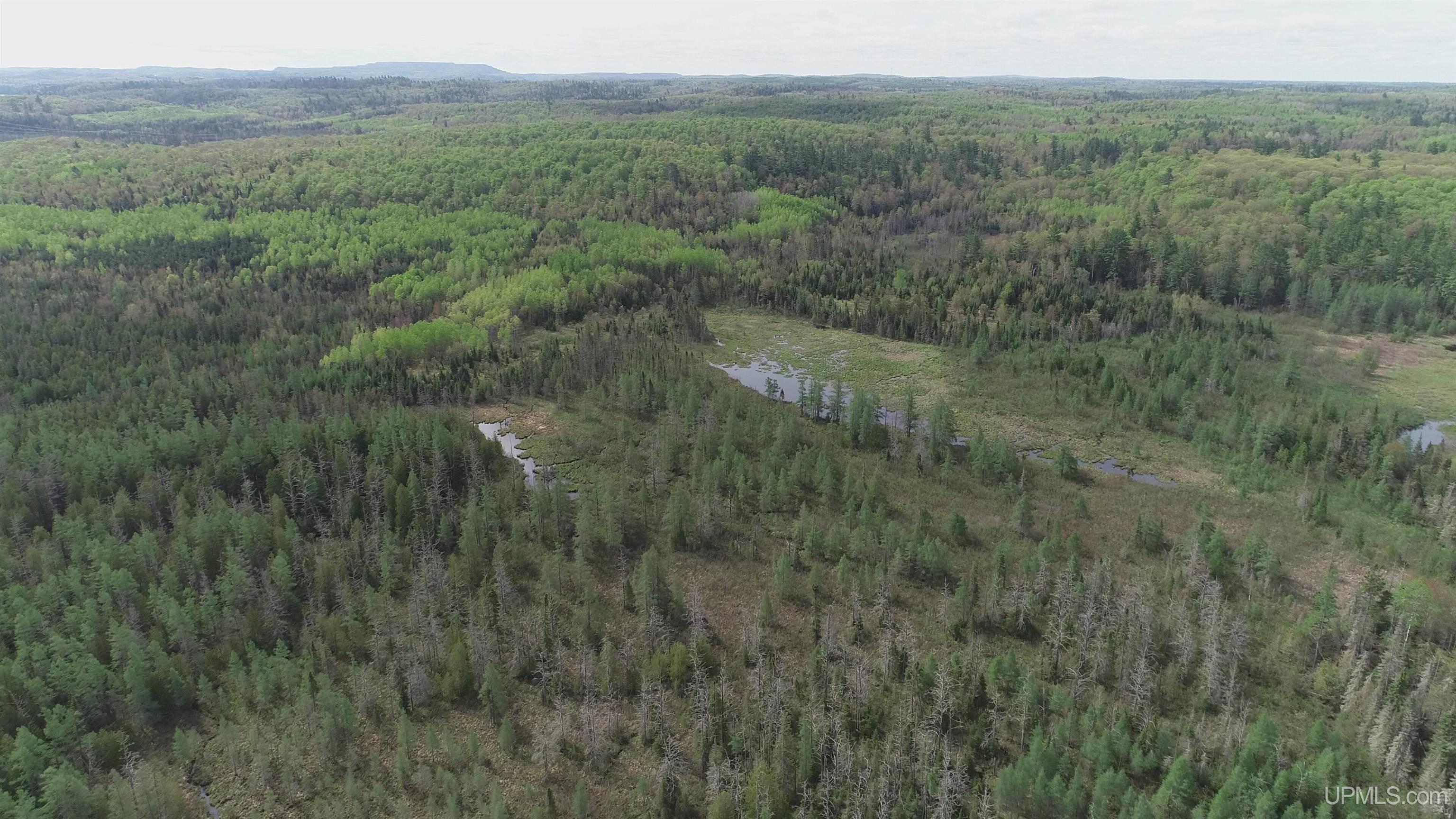 280-acres County Road CCN Road Negaunee, MI 49866 - Photo 6 of 48