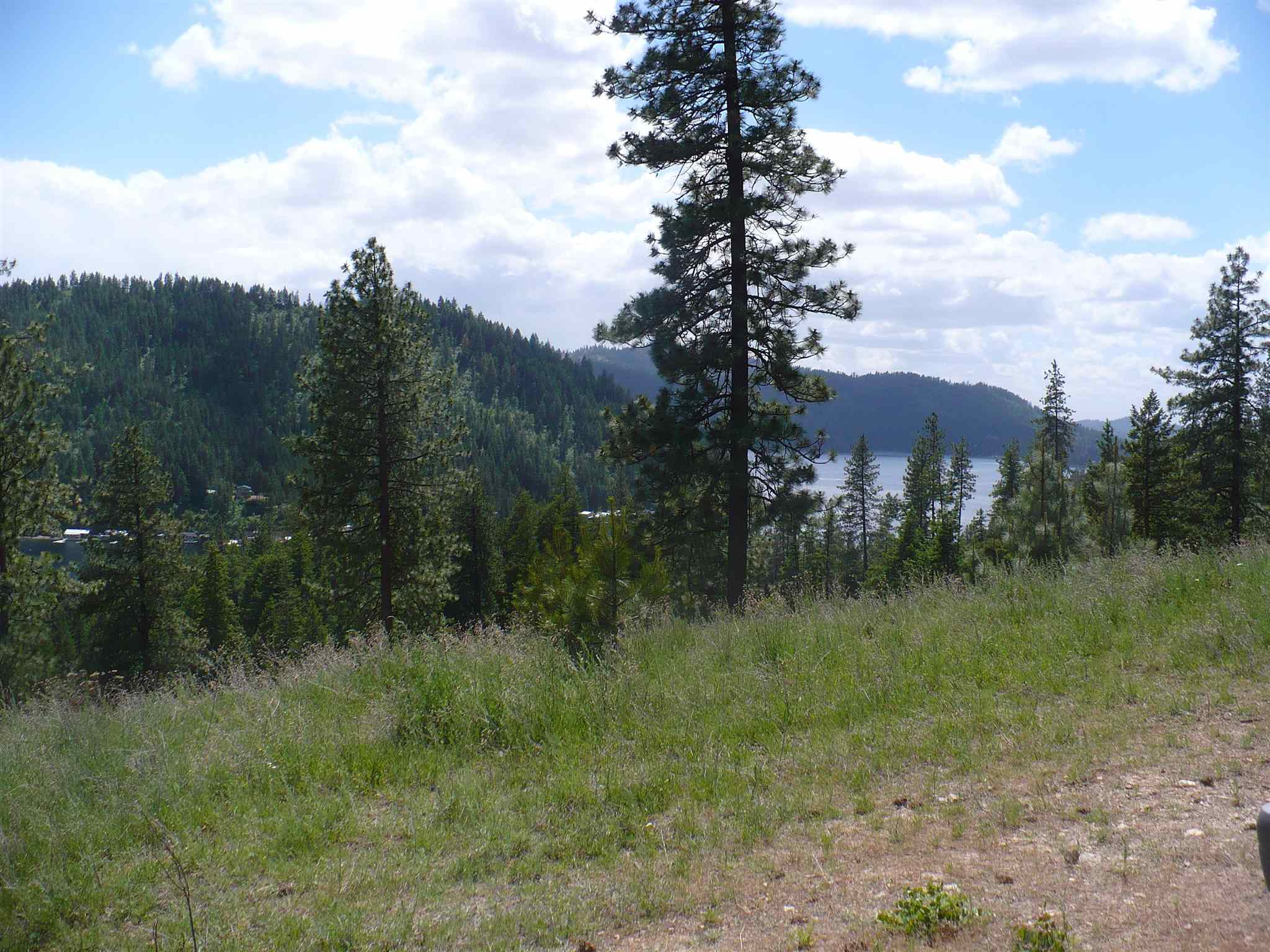 4139 North Deer Lake Road, Unit LOT 5 Loon Lake, WA 99148 - Photo 2 of 16