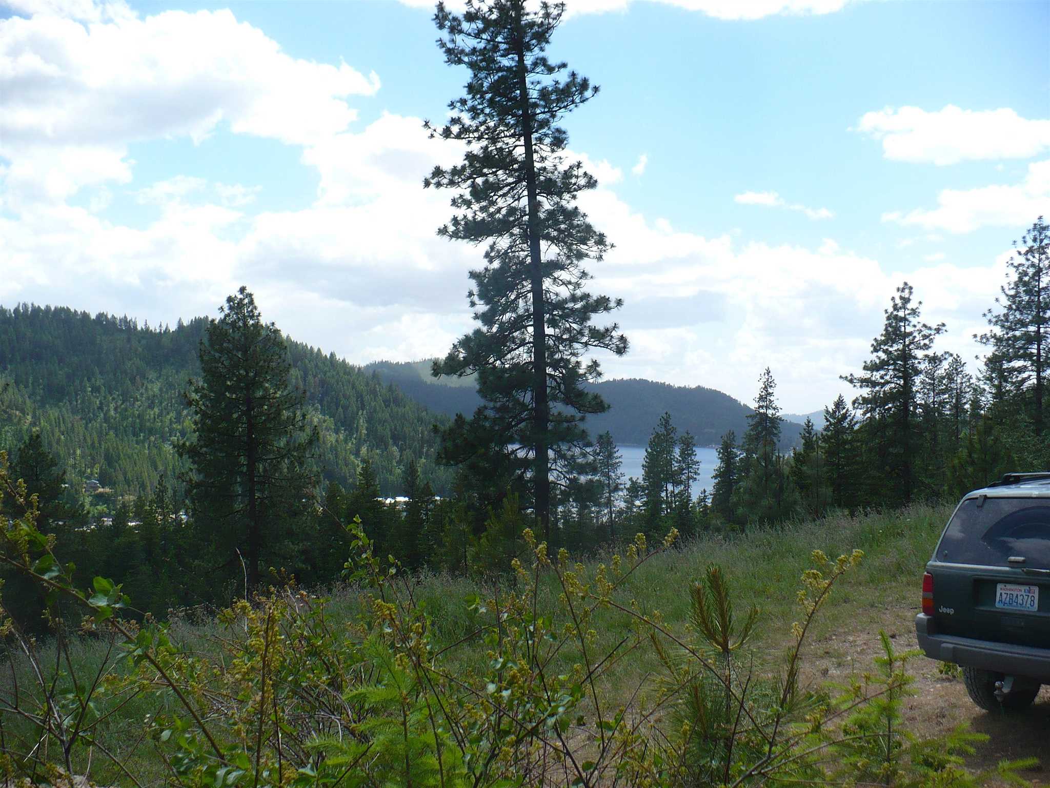 4139 North Deer Lake Road, Unit LOT 5 Loon Lake, WA 99148 - Photo 11 of 16