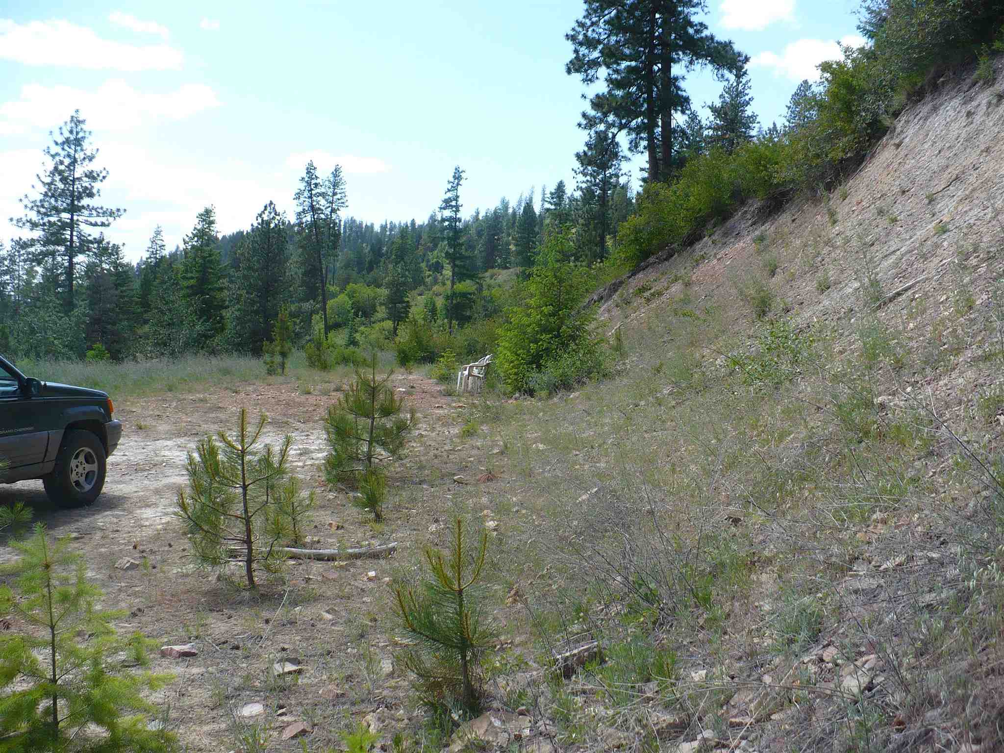 4139 North Deer Lake Road, Unit LOT 5 Loon Lake, WA 99148 - Photo 12 of 16