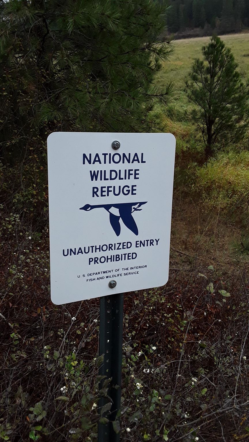 4139 North Deer Lake Road, Unit LOT 5 Loon Lake, WA 99148 - Photo 15 of 16