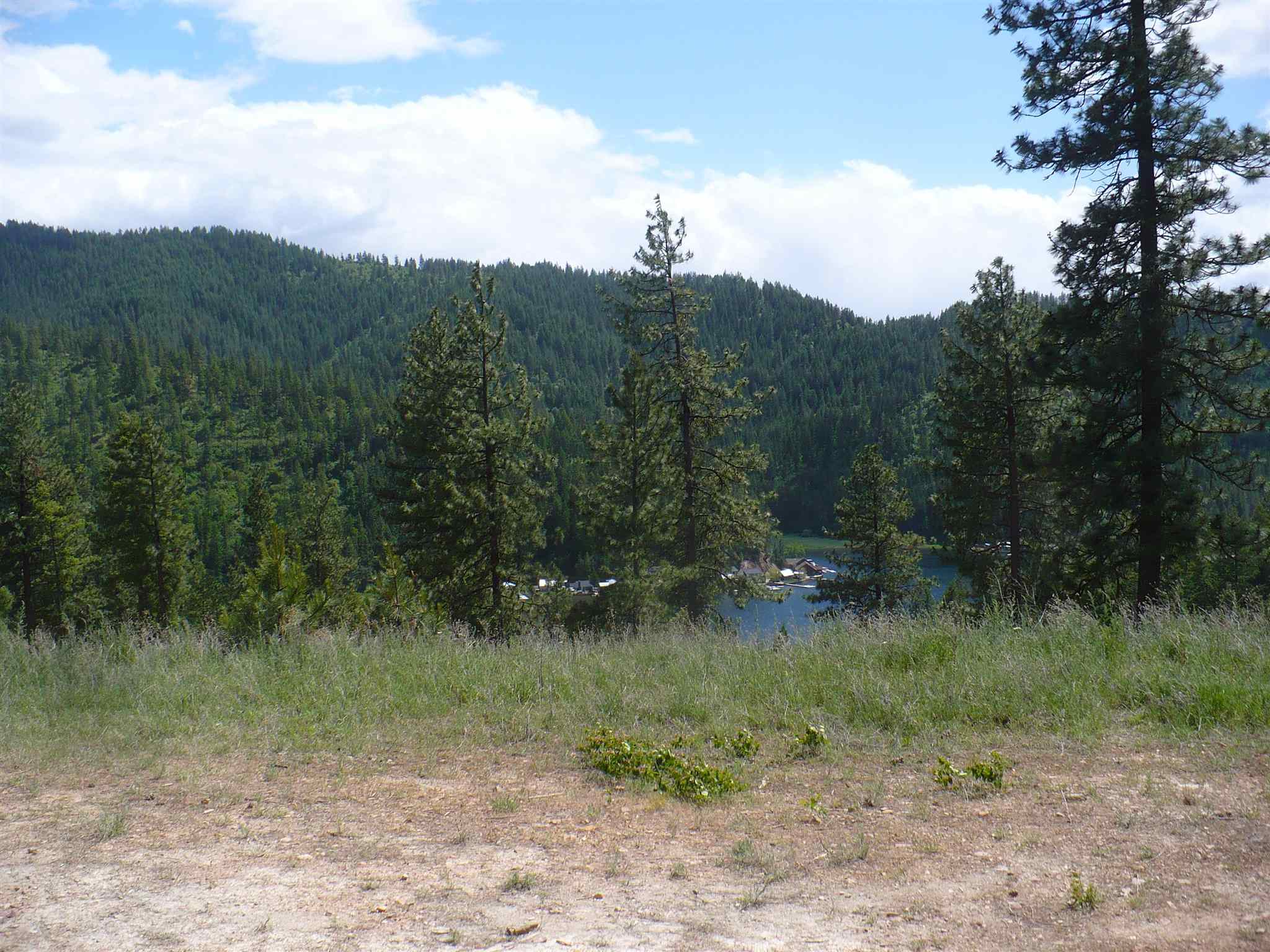 4139 North Deer Lake Road, Unit LOT 5 Loon Lake, WA 99148 - Photo 6 of 16