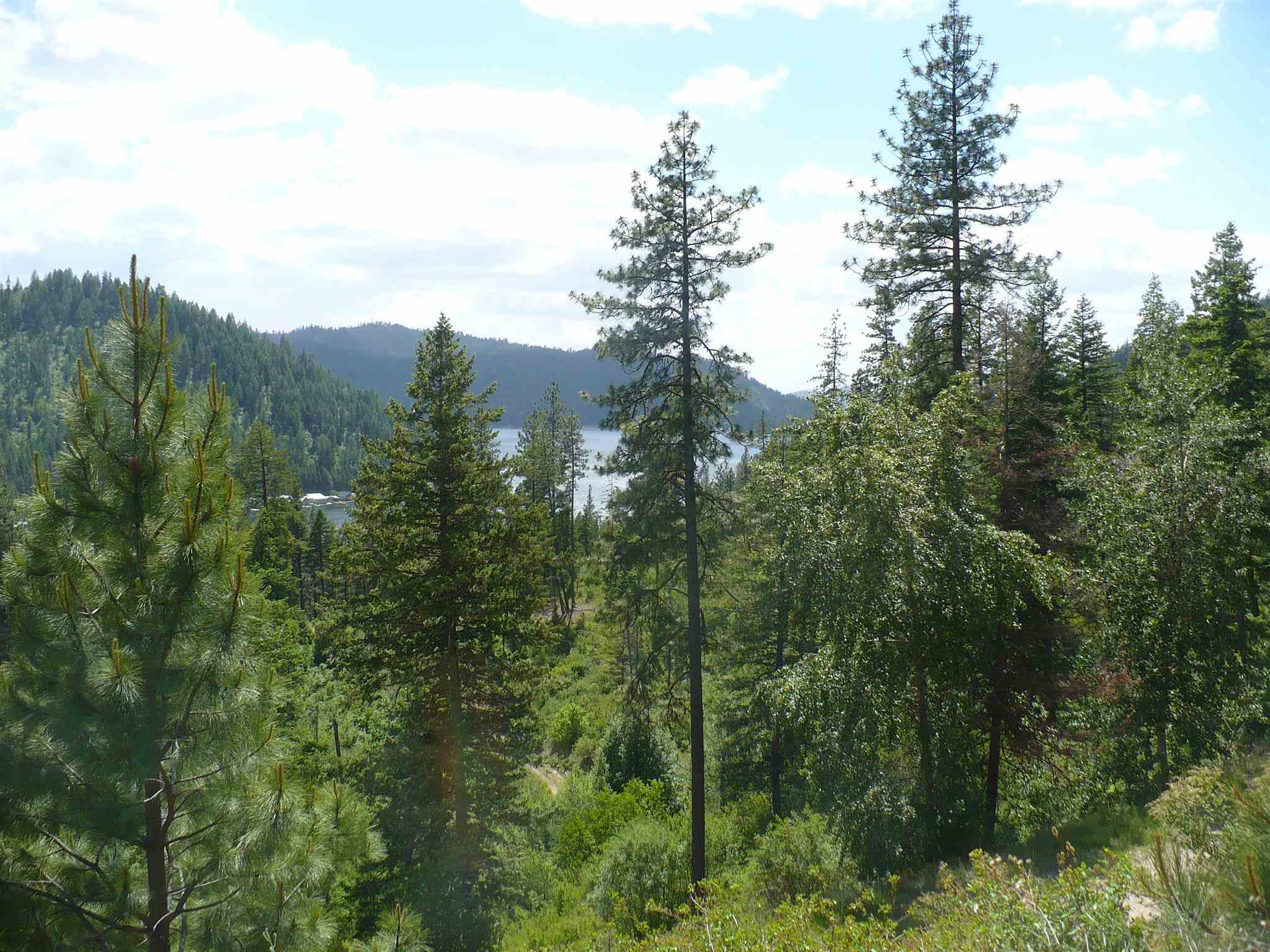 4139 North Deer Lake Road, Unit LOT 5 Loon Lake, WA 99148 - Photo 9 of 16