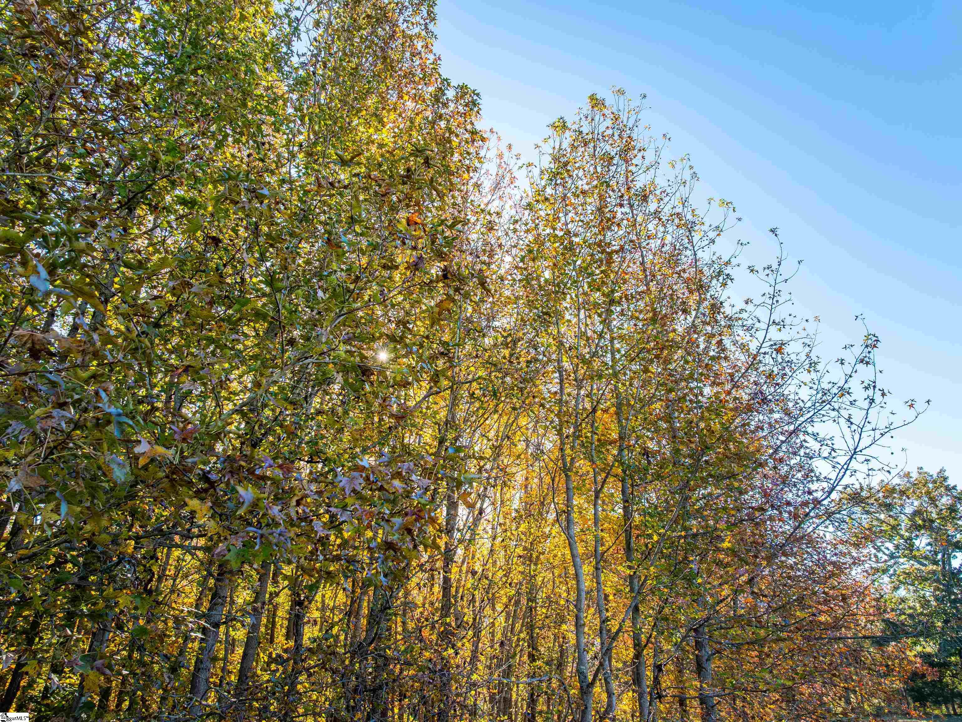 13 Taylor Road, Unit LOT 13 Honea Path, SC 29654 - Photo 39 of 50