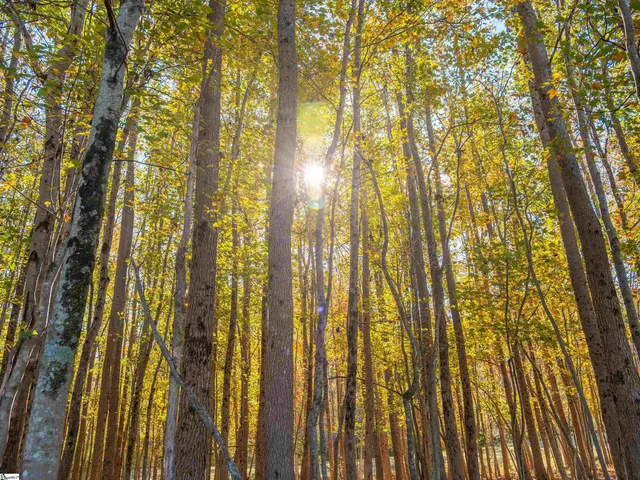 $125,000 | 13 Taylor Road, Unit LOT 13, Honea Path, SC 29654