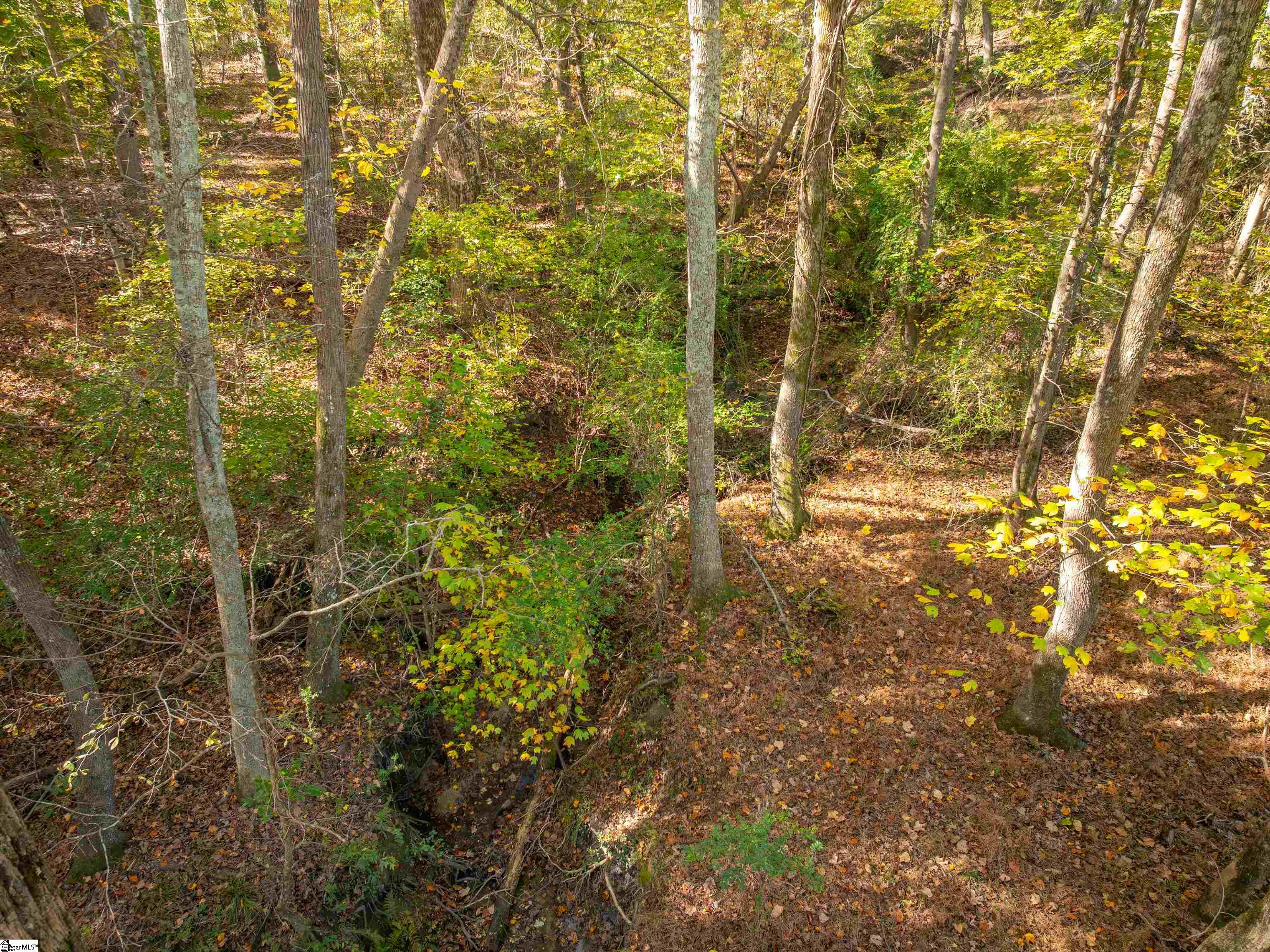 13 Taylor Road, Unit LOT 13 Honea Path, SC 29654 - Photo 42 of 50