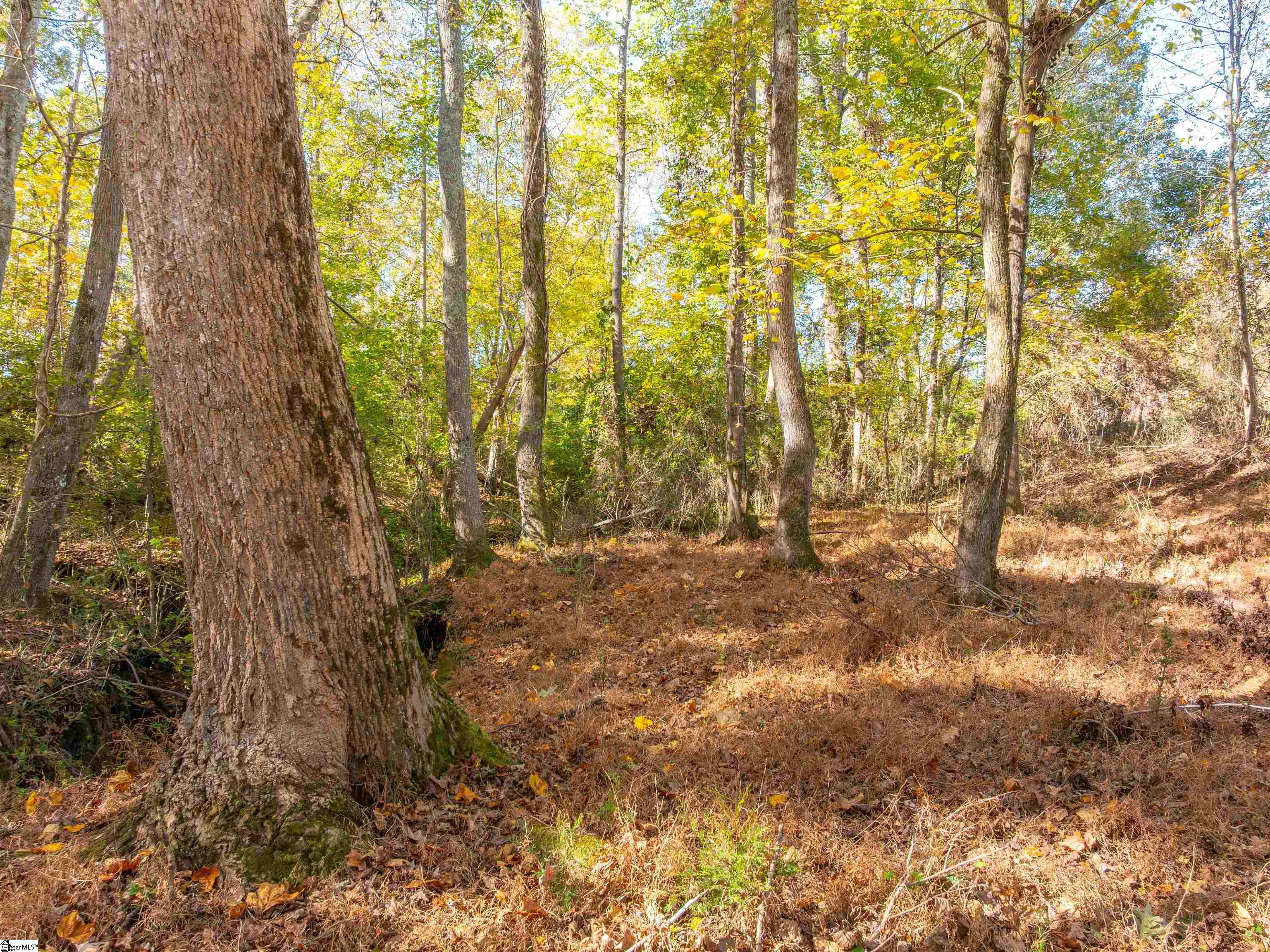 13 Taylor Road, Unit LOT 13 Honea Path, SC 29654 - Photo 45 of 50