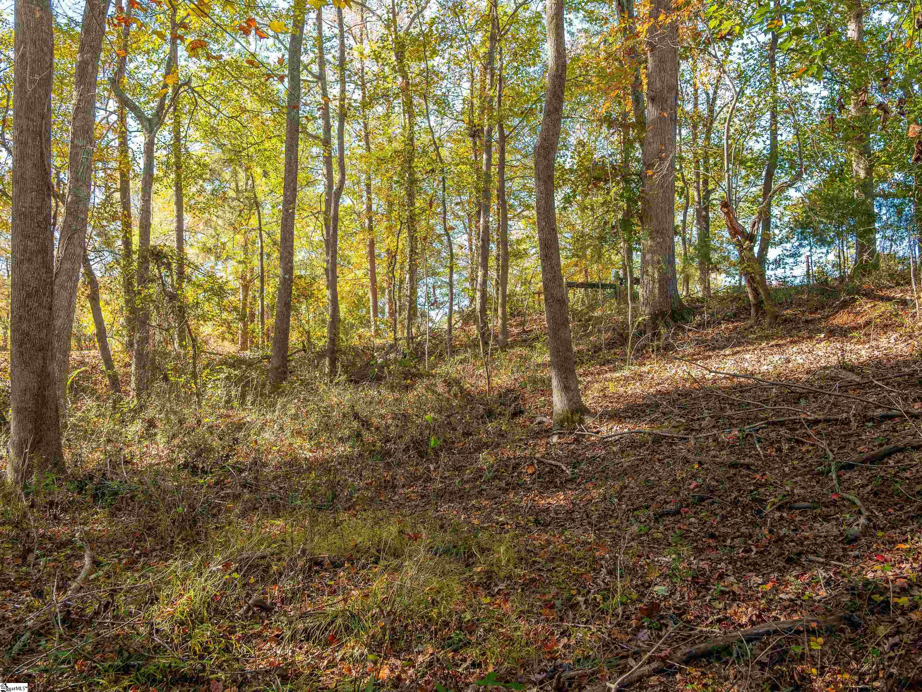 13 Taylor Road, Unit LOT 13 Honea Path, SC 29654 - Photo 46 of 50