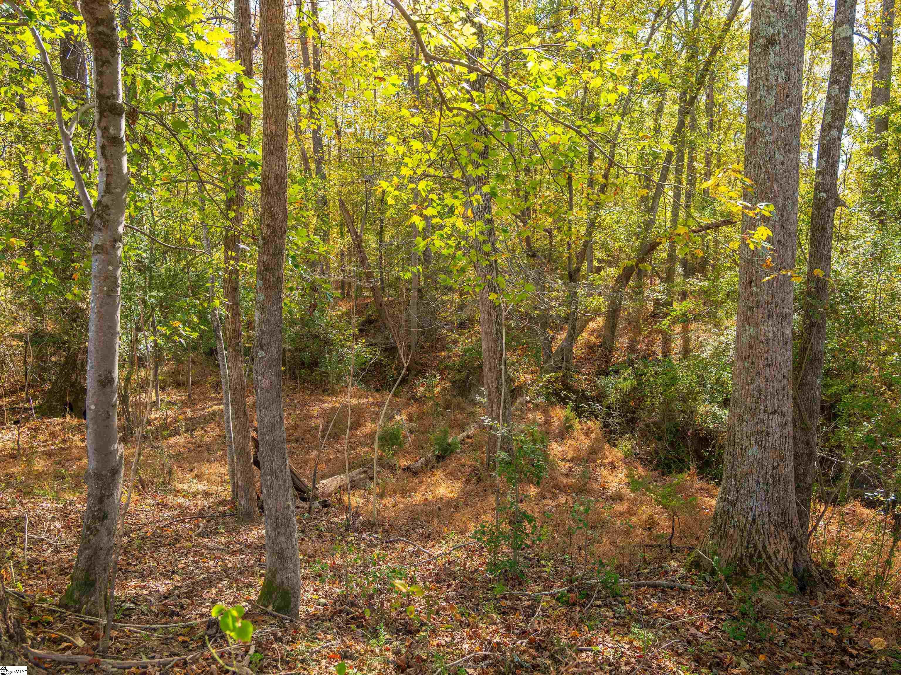 13 Taylor Road, Unit LOT 13 Honea Path, SC 29654 - Photo 48 of 50