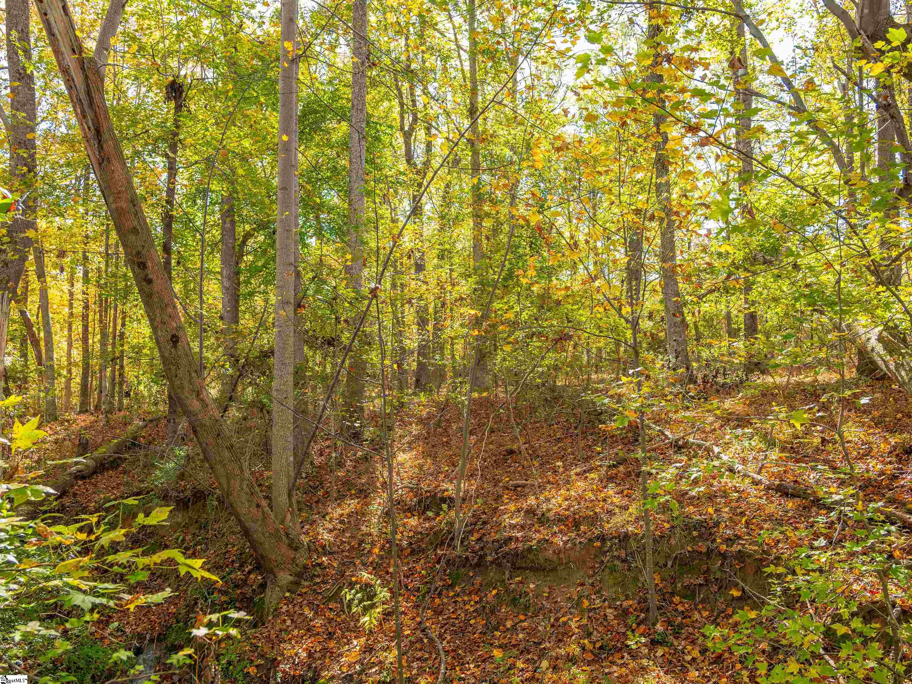 13 Taylor Road, Unit LOT 13 Honea Path, SC 29654 - Photo 49 of 50