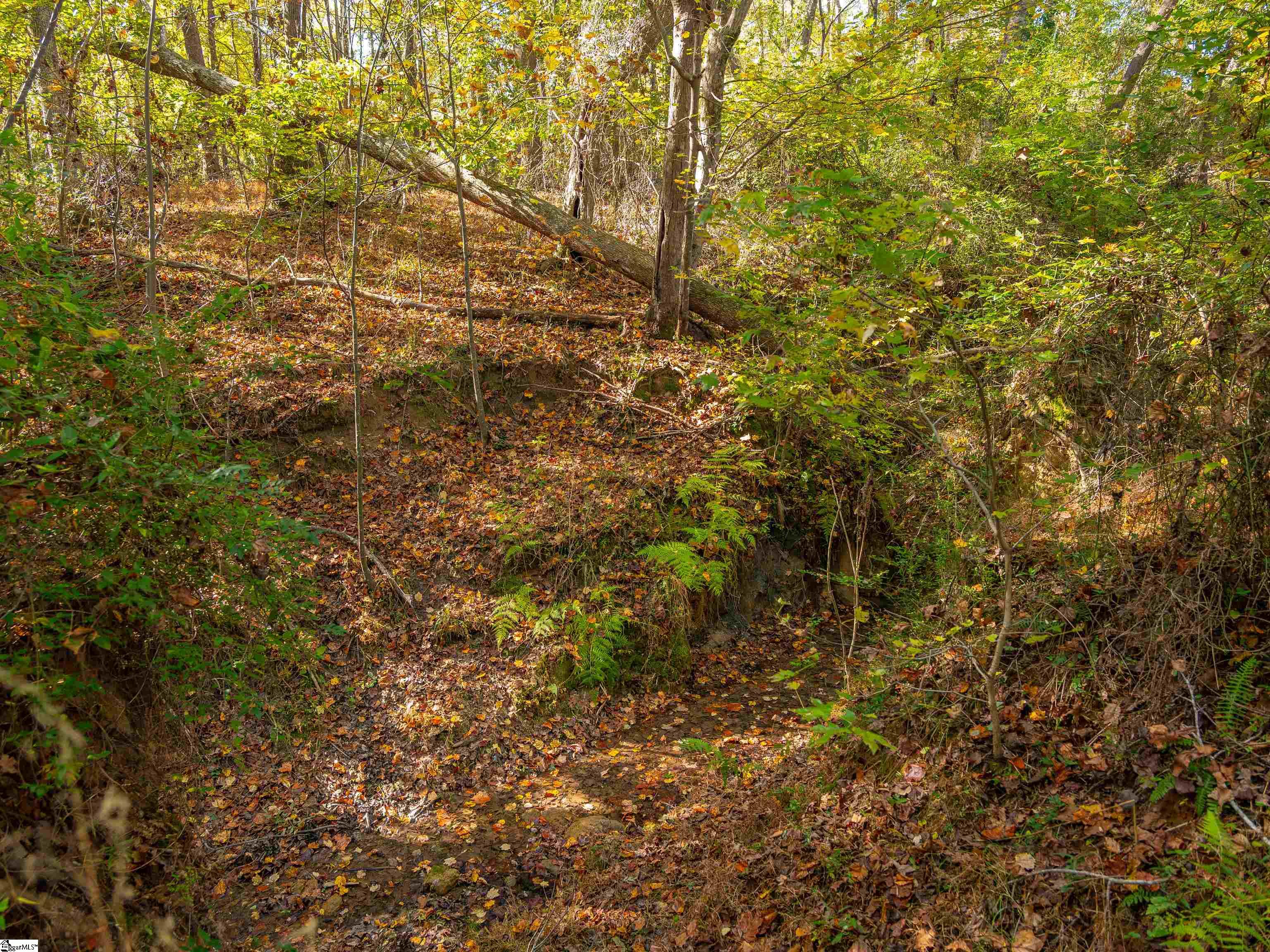 13 Taylor Road, Unit LOT 13 Honea Path, SC 29654 - Photo 50 of 50