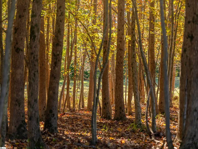 $125,000 | 13 Taylor Road, Unit LOT 13, Honea Path, SC 29654