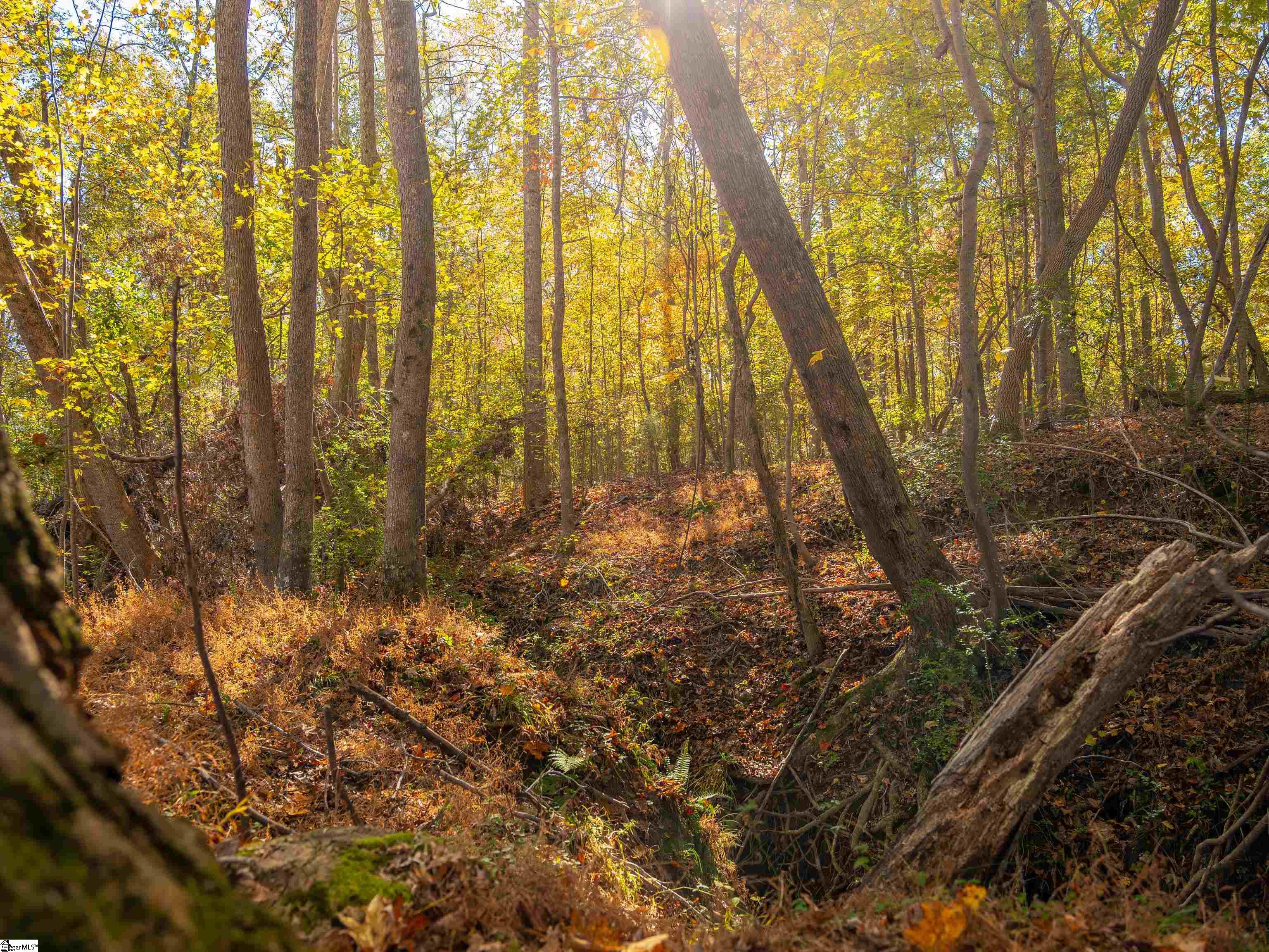 13 Taylor Road, Unit LOT 13 Honea Path, SC 29654 - Photo 6 of 50