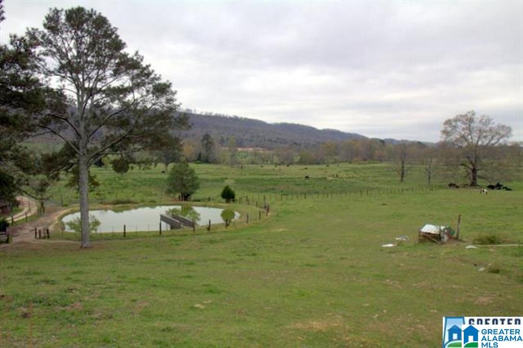 3054 Greensport Road, Unit 141 ACRES Ashville, AL 35953 - Photo 2 of 23