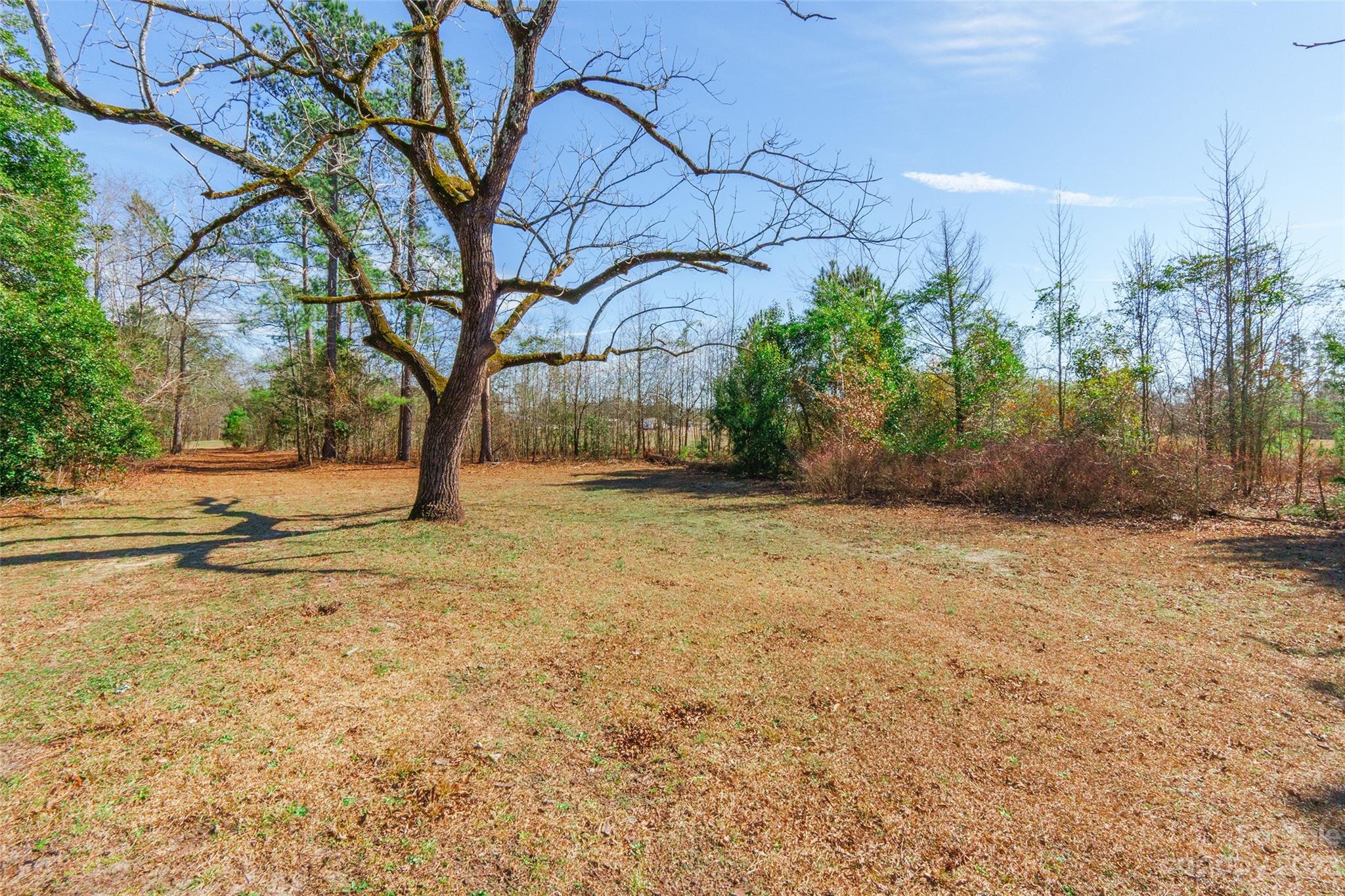 301 Youngs Bend Road Kershaw, SC 29067 - Photo 21 of 25 Gallery Image 21