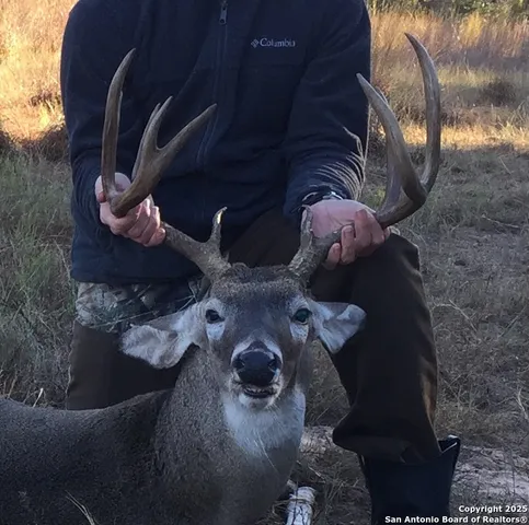 a close view of shoes stand