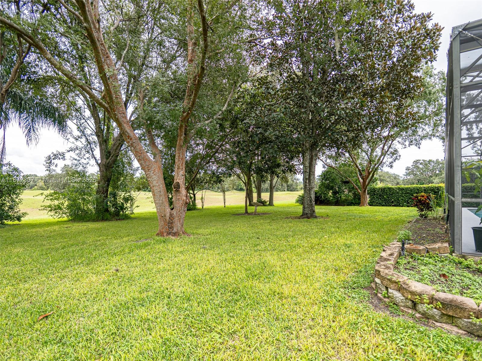 565 Hebrides Court Apopka, FL 32712 - Photo 30 of 32 a view of a trees with a big yard
