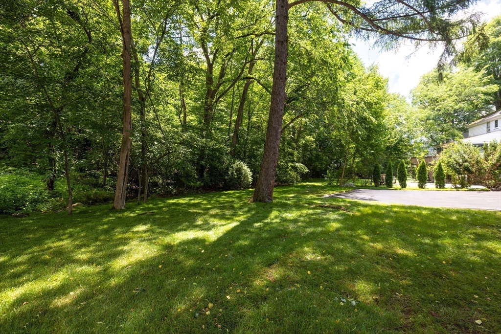 209 Bristol Road Wellesley, MA 02481 - Photo 29 of 29