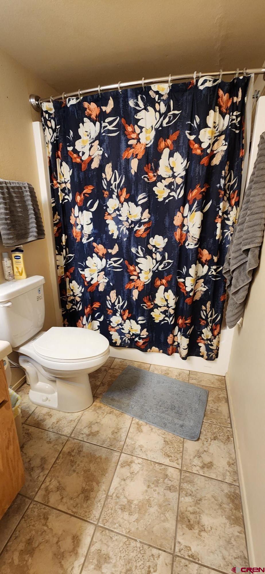 1100 Goeglein Gulch Road, Unit 162 Durango, CO 81301 - Photo 13 of 34 a white toilet sitting next to a shower