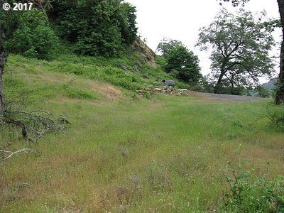 2845 Del Rio Road Roseburg, OR 97471 - Photo 3 of 10 Gallery Image 3