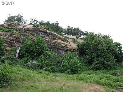 2845 Del Rio Road Roseburg, OR 97471 - Photo 10 of 10 Gallery Image 10