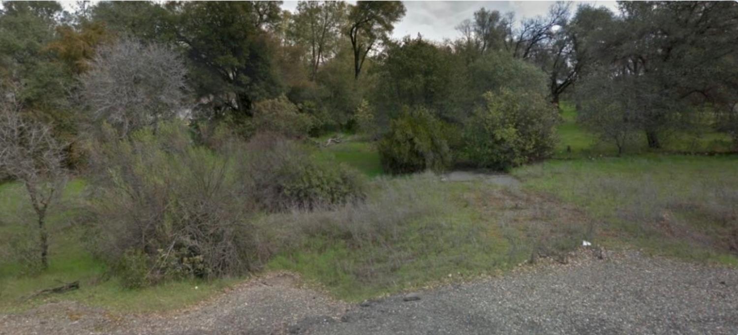 3831 Missouri Flat Road Placerville, CA 95667 - Photo 1 of 4 a view of a dry yard with trees