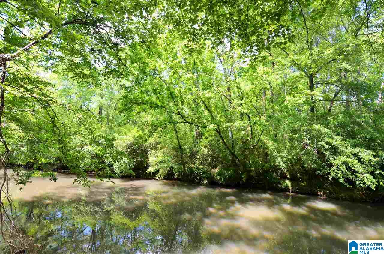 935 Jones Road Ohatchee, AL 36271 - Photo 44 of 47