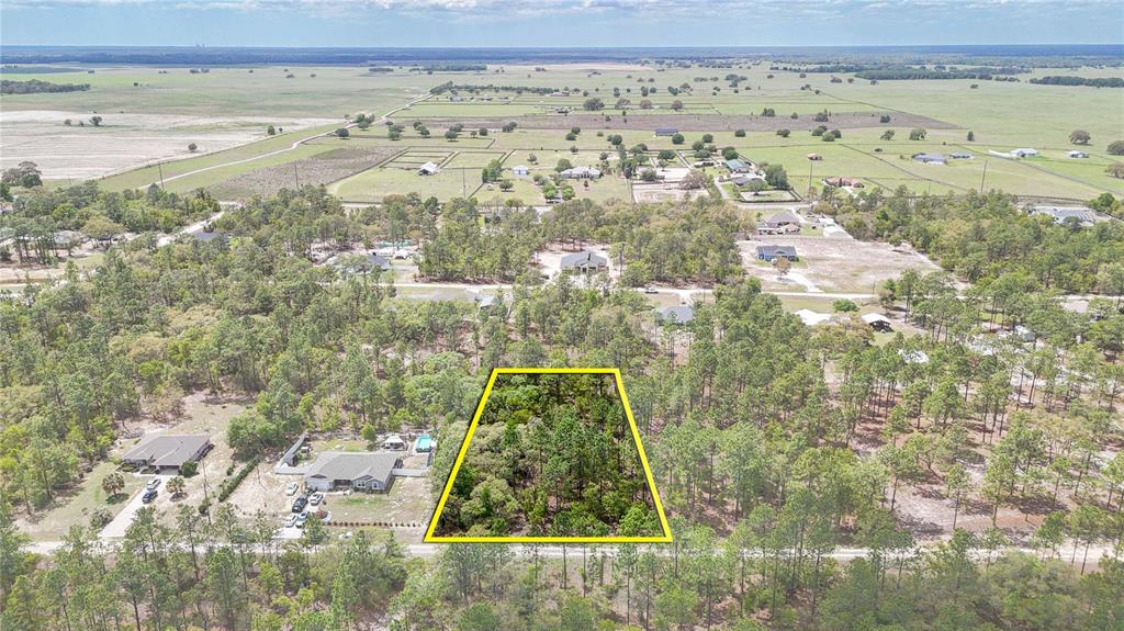 Tbd Southwest 137th Ct Road Dunnellon, FL 34432 - Photo 6 of 19