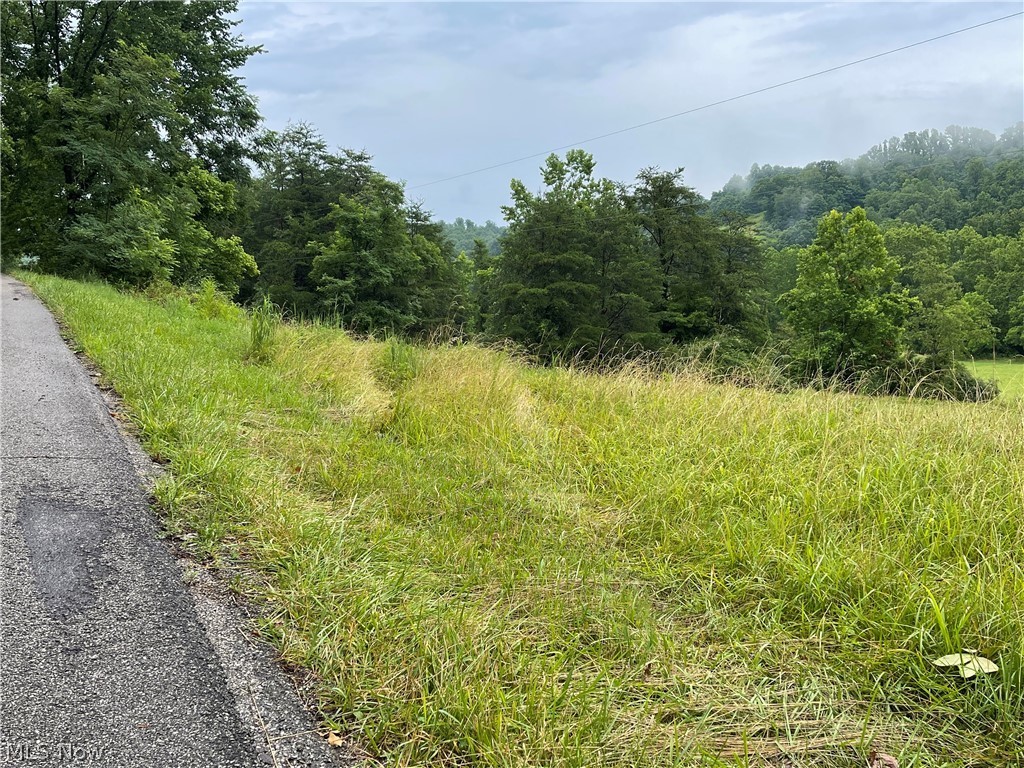 Copperhead Road Waverly, WV 26184 - Photo 3 of 25