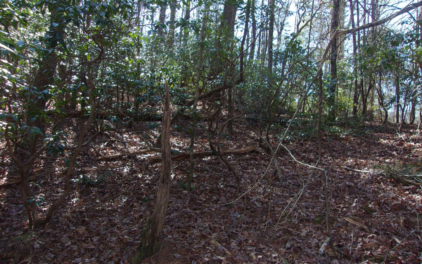J260 Pine Ridge Road Ellijay, GA 30536 - Photo 11 of 19 Additional View
