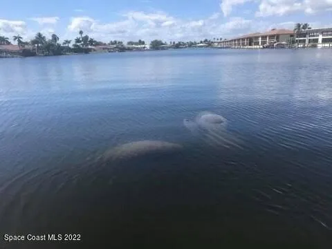 $3,200 | 1700 Commodore Boulevard, Unit 1205, Cocoa Beach, FL 32931