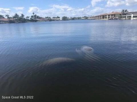 1700 Commodore Boulevard, Unit 1205 Cocoa Beach, FL 32931 - Photo 27 of 31 IMG_6169