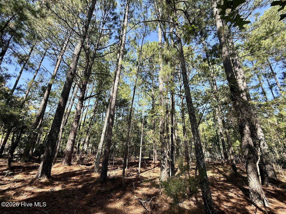 Lot 10 Marks Road Cameron, NC 28326 - Photo 17 of 19 Gallery Image 17