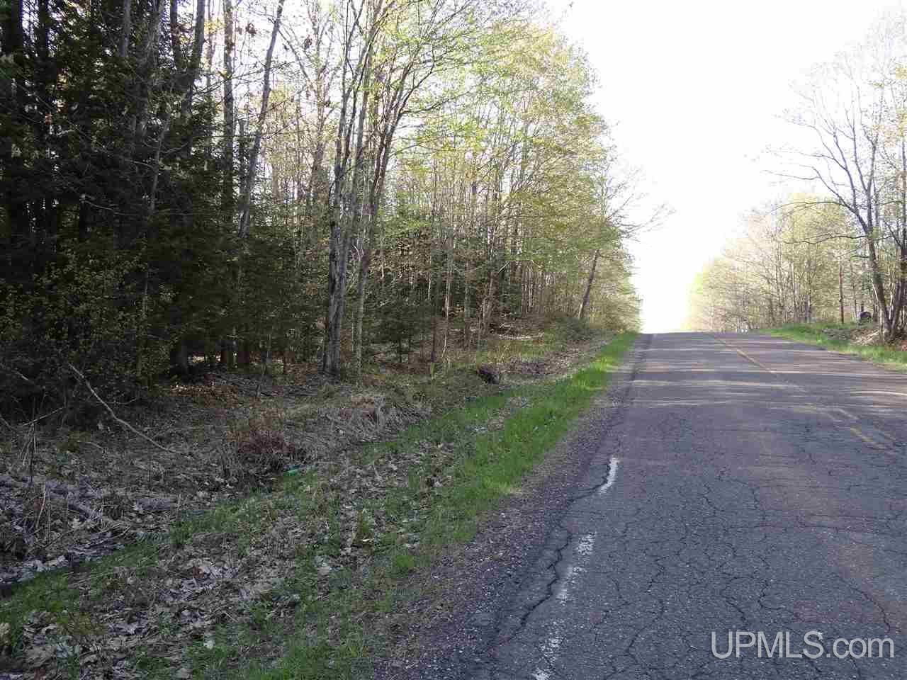 Tbd Rauhala Road, Unit PARCEL 3 Atlantic Mine, MI 49931 - Photo 9 of 19