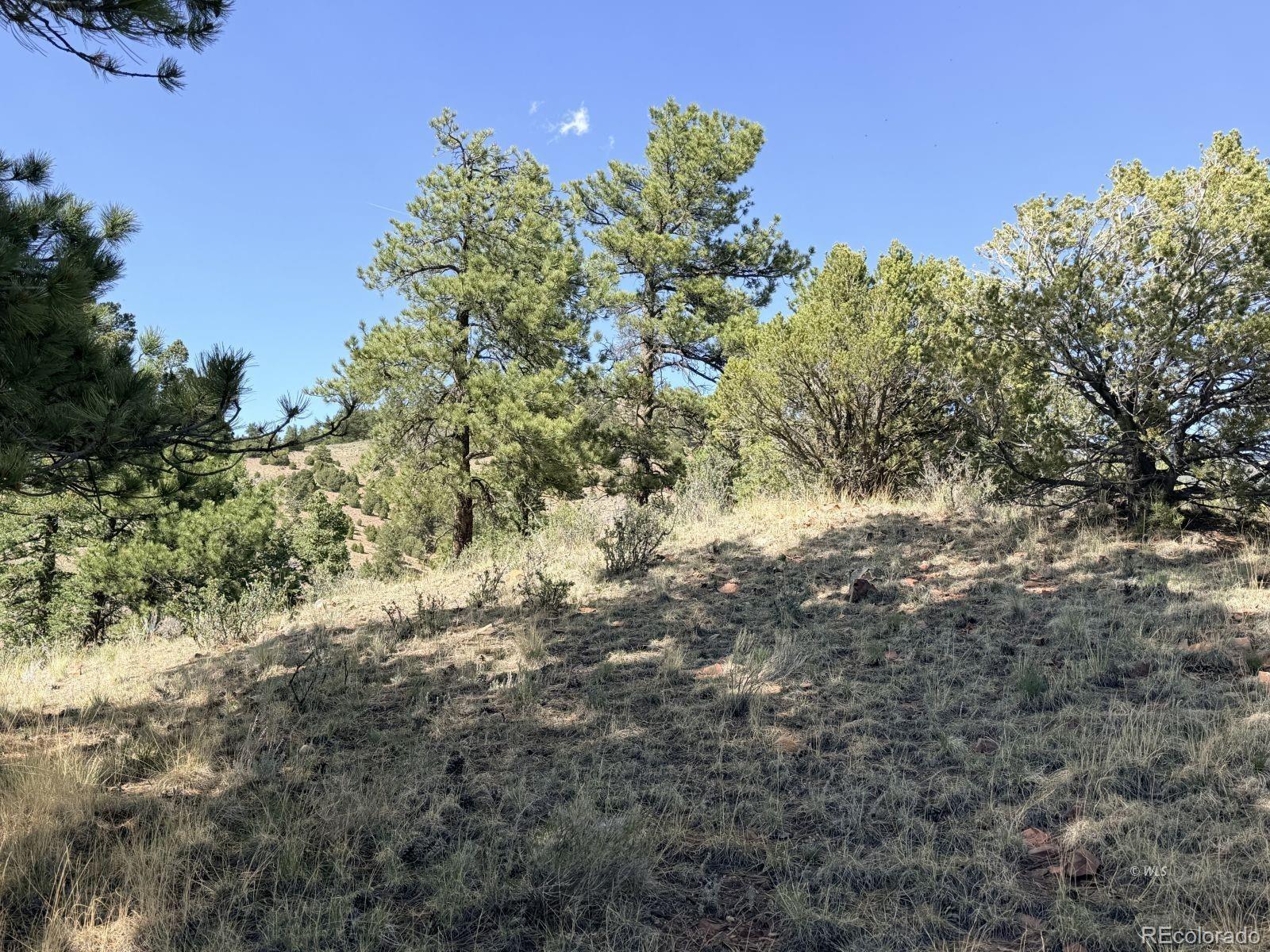 0 Schulze Ranch Road Westcliffe, CO 81252 - Photo 27 of 33
